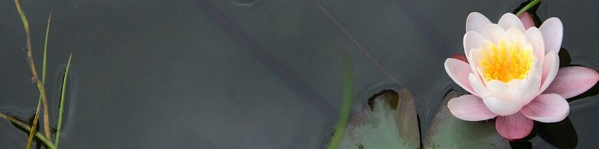 Meditation und Kontemplation in Essen